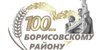 Классные часы, посвященные 100-летию Борисовского района