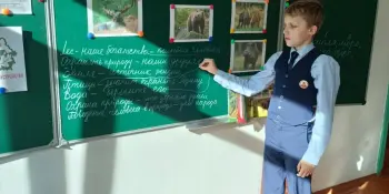Экологическая игра "Берегите природу"