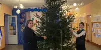 "Волшебство своими руками: Школа и детский сад преобразились к Новому году"