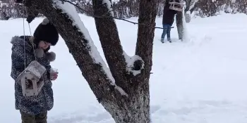 Акция "Зимующим птицам - нашу заботу"