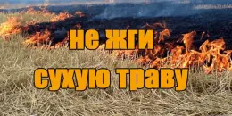Предупреждение МЧС: Выжигание сухой растительности опасно и наказуемо!