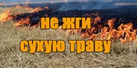 Предупреждение МЧС: Выжигание сухой растительности опасно и наказуемо!